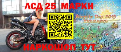 крисы Шебекино