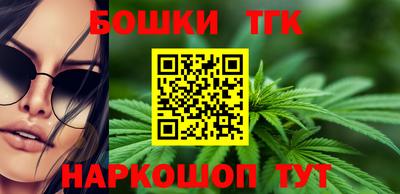 крисы Шебекино