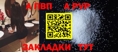 крисы Шебекино