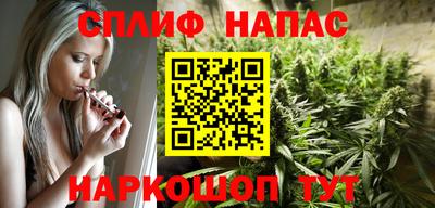крисы Шебекино