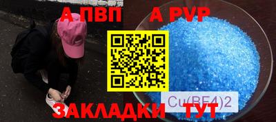 крисы Шебекино