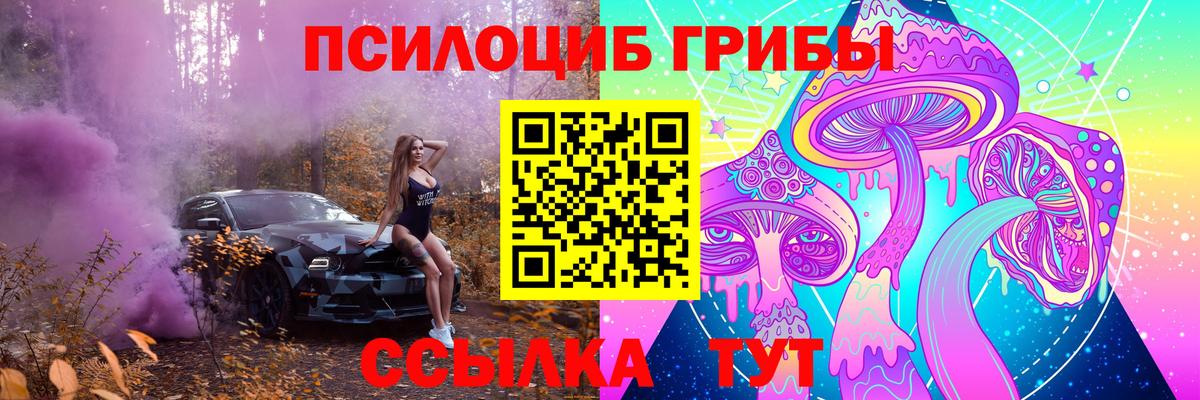 Галлюциногенные грибы GOLDEN TEACHER  Вход с VPN  Минусинск  Псилоцибиновые грибы мухоморы 