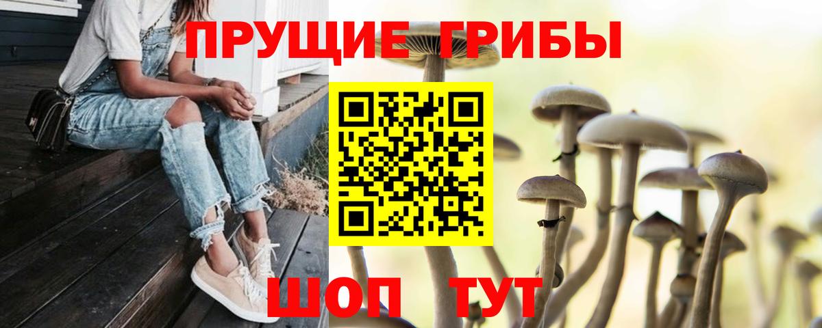 Галлюциногенные грибы Magic Shrooms Минусинск